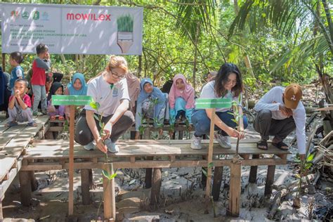 Mowilex Rampungkan Penanaman 50 000 Pohon Di Indonesia Mowilex