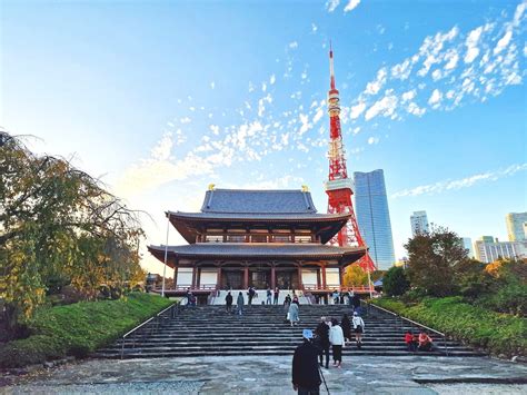 Descubre Los Rincones Secretos De Tokio Para Disfrutar De Los Cerezos