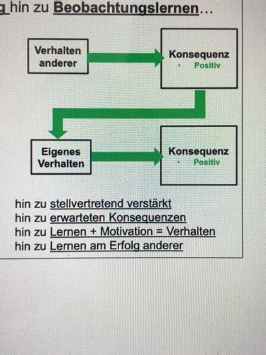 Lernen Am Modell Karteikarten Quizlet