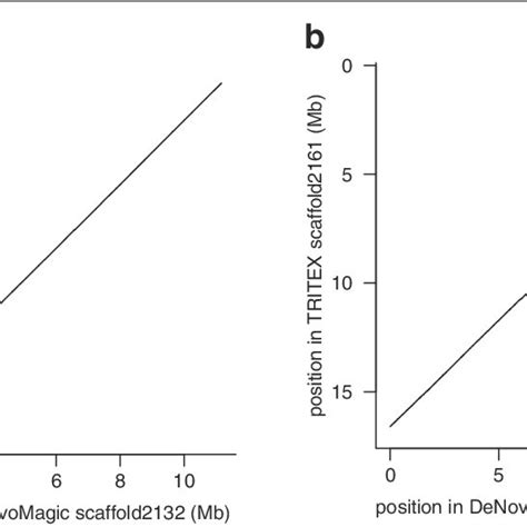 Collinearity Between Tritex And Denovomagic Assemblies Of Wheat Dot