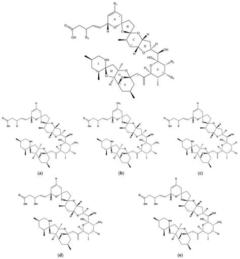 Azaspiracids | Encyclopedia MDPI