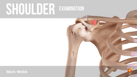 Shoulder examination