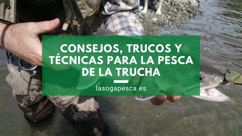 Consejos trucos y técnicas para la pesca de la trucha La Soga Pesca