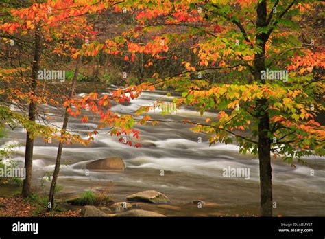 Nantahala River, Nantahala Gorge, North Carolina, USA Stock Photo - Alamy