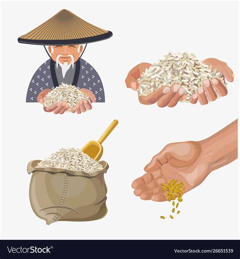 Rice Harvest Royalty Free Vector Image Vectorstock