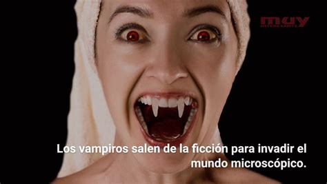 Descubren Una Bacteria Vampiro Con Sed De Sangre Humana