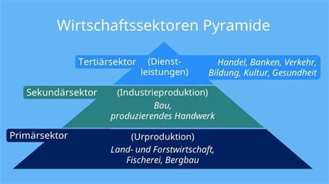 Wirtschaftssektoren einfach erklärt mit Video