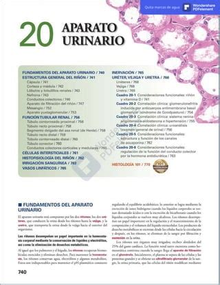 Cap 20 Histo Pdf