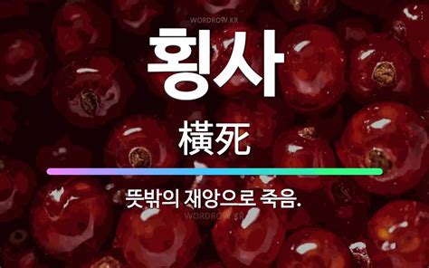 🌟횡사 뜻밖의 재앙으로 죽음 표준국어대사전