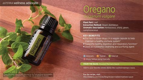 Aceite Esencial De Oregano Doterra Passion Pe Youtube