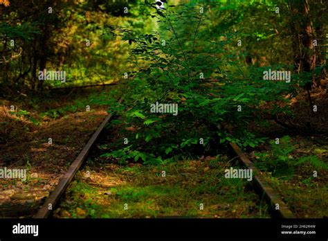 Overgrown Railway Track Hi Res Stock Photography And Images Alamy