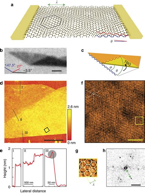 Twisted Bilayer Graphene In Folded Samples A Sketch Of A Contacted