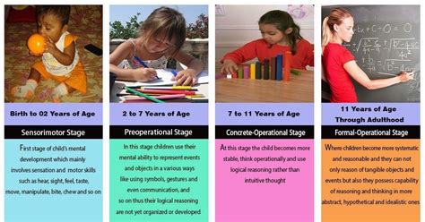 Piaget Stages Of Development Worksheet