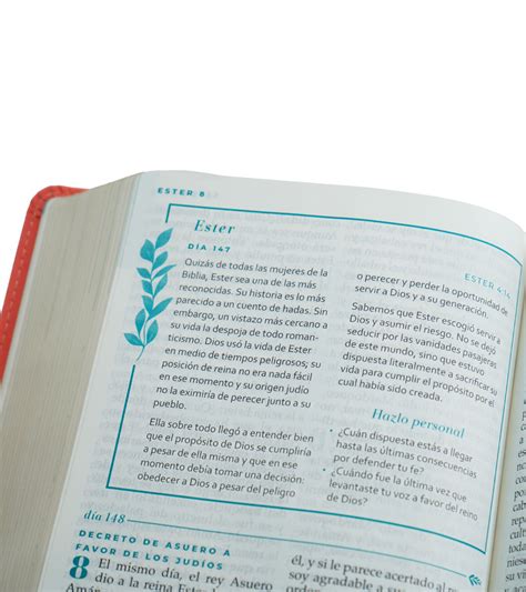 Biblia Devocional Mujer Verdadera Rv Letra Grande Imitacion Piel