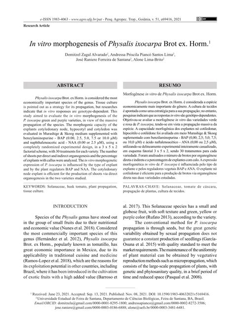 PDF In Vitro Morphogenesis Of Physalis Ixocarpa Brot Ex Horm