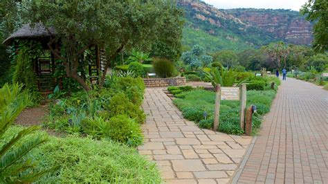 Walter Sisulu National Botanical Garden In Johannesburg Expedia