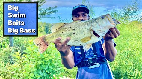 Pond Hopping For The Biggest Bass In Florida Bank Fishing Bass