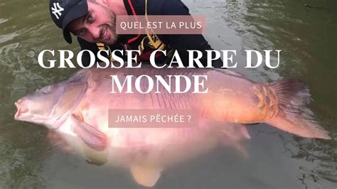 Les Plus Grosses Carpes Du Monde Les 8 Records Historiques