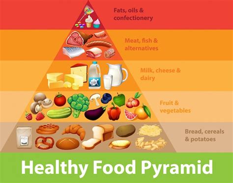 Free Vector | Healthy food pyramid chart