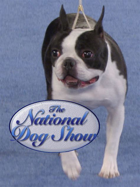 National Dog Show - Where to Watch and Stream - TV Guide