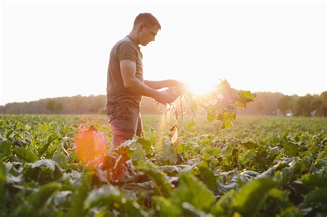 Formazione Agricola E Forestale Bando Psr Da Milioni Di Euro Per