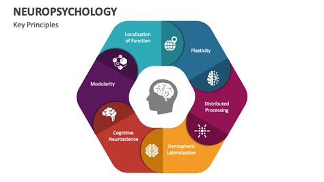 neuropsychology powerpoint  google  template