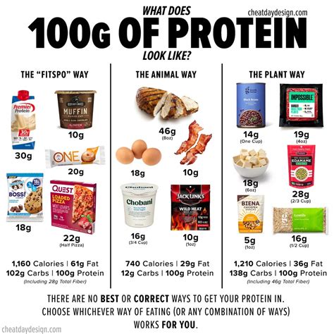 What Does 100g Of Protein Look Like A Visual Guide