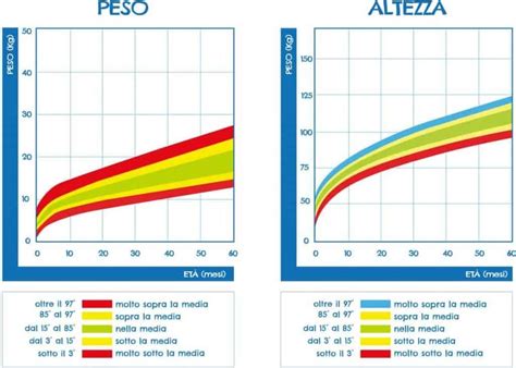 Curve Di Crescita E Percentili Calcola Se Il Tuo Bambino Cresce Bene