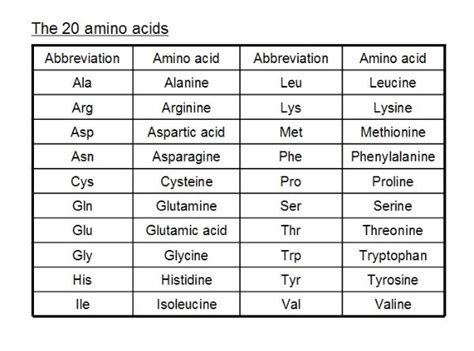 Ribosomes