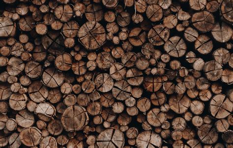 Wood Logs Wallpapers - Wallpaper Cave