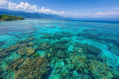 D Couvrez Les Merveilles De Cairns En Australie Le Guide Ultime De