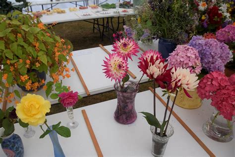 Ipplepen Village Show Ipplepen Local History Flickr