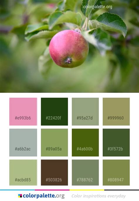 Fruit Apple Close Up Color Palette | colorpalette.org