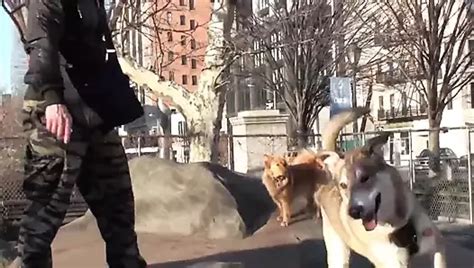 Raw Wet Dream Gay Bareback Bareback Porn Feat Marco Sessions XHamster