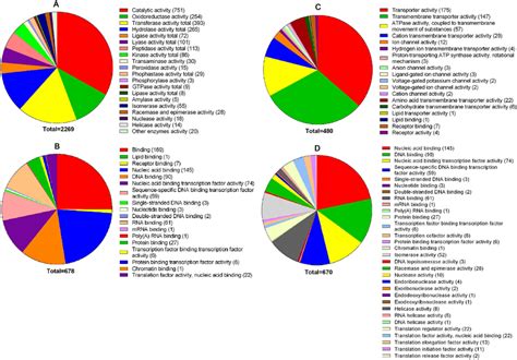 Gene Ontology Go Molecular Function Terms Assigned To The