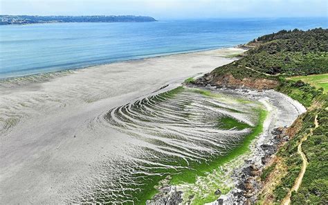 Algues Vertes Quand La Baie De Saint Brieuc Sinvite En Librairie