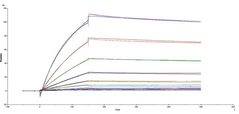 Recombinant Sars Cov Spike Rbd His Tag Protein Cf Cv R D