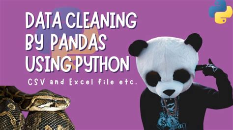 Perform Data Cleaning With Pandas Using Python By Ihsanullah 0311 Fiverr