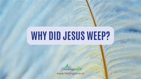 Understanding The Bible Verse John 1135 Why Jesus Wept