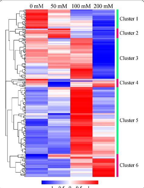 Heatmap Of The Differentially Expressed Proteins In Strain Yuan 3 The Download Scientific