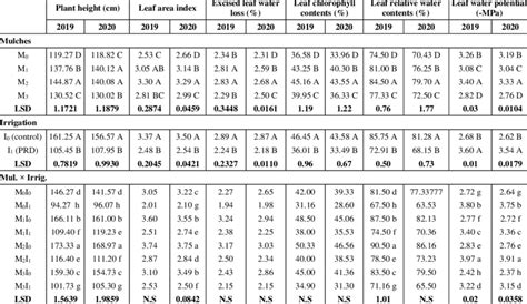 Effect Of Different Mulches And Irrigation Intervals On Water Related