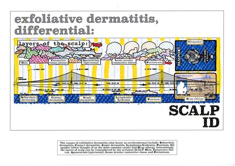 dermatology mnemonics, part I