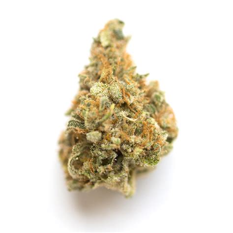 Jedi Kush Marihuana Sorten Infos Spliffmeister