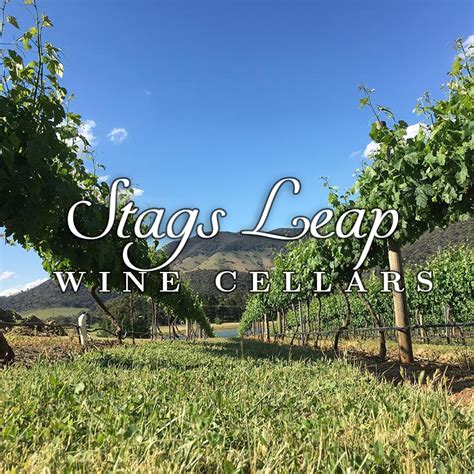 Stags Leap Wine Cellars Winning Best 1 Cabernet Sauvignion