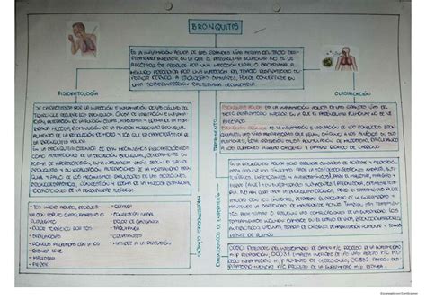 Bronquitis Nursemaniapuntes UDocz