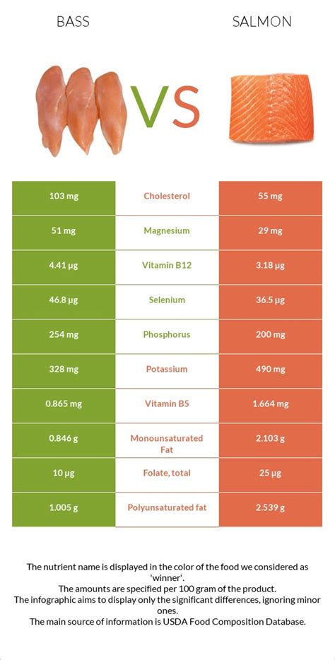 Sea Bass Vs Salmon — In Depth Nutrition Comparison