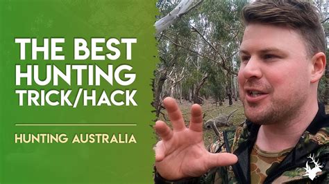 How To Find More Game When Hunting Huntingaustralia The Huntsman