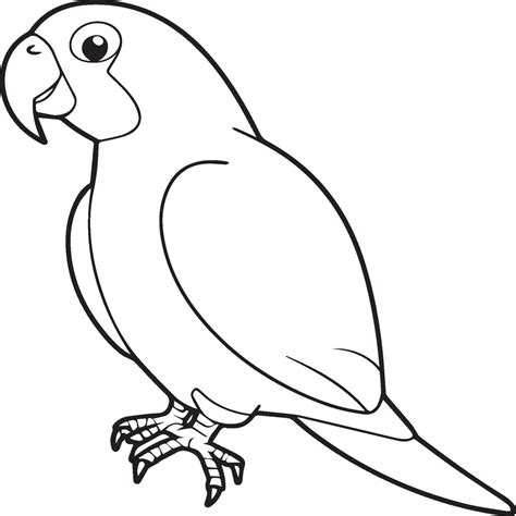 guide to parrot hyperactive for beginners 9