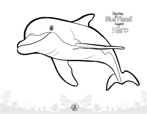 Underwater Animals Drawing at GetDrawings | Free download