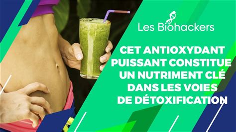 Cet antioxydant puissant constitue un nutriment clé dans les voies